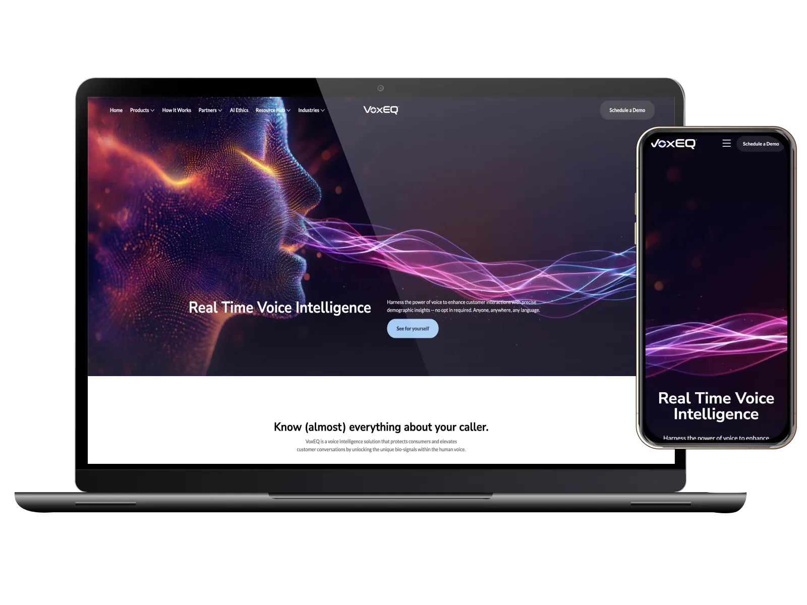 Case Study VoxEQ v2